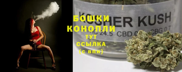 spice Алзамай