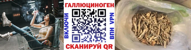 Псилоцибиновые грибы MAGIC MUSHROOMS  hydra как войти  Ветлуга 