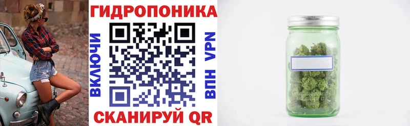 Шишки марихуана ГИДРОПОН  Ветлуга 